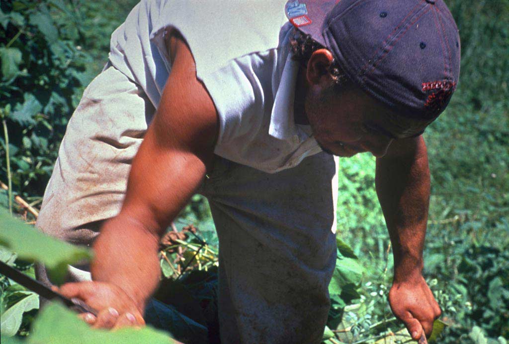 11.pito_with_machete-2004