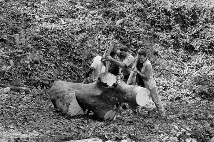 12.making_of-72718-2004