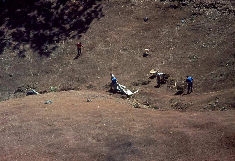 19.gathering_leaves-2005