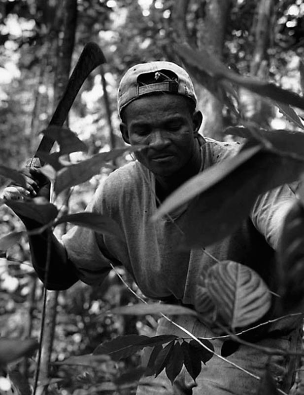 23.pedro_(crescencio_de_la_rosa)-2001