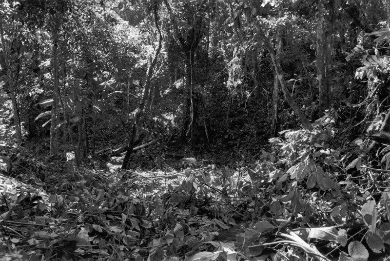 alt_06.making_of-7512-1999